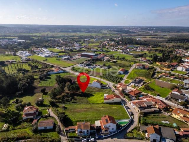 Leiria Leiria 87043698