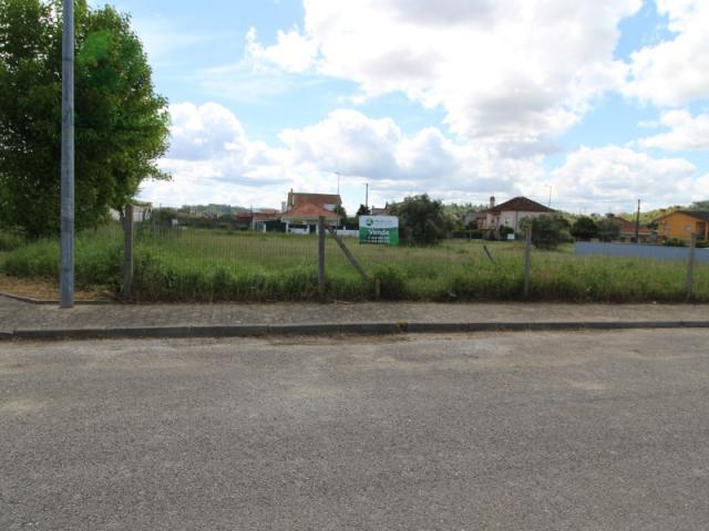 Leiria Leiria 87512928