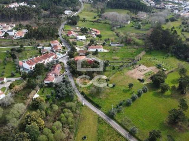 Leiria Leiria 88466740