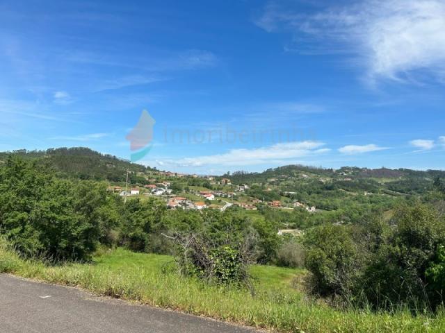 Leiria Leiria 88782144