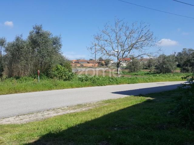 Leiria Leiria 89572446