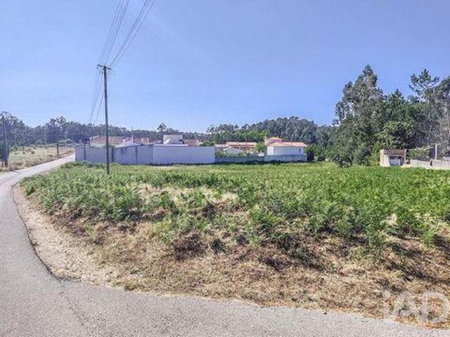 Leiria Leiria 96043291