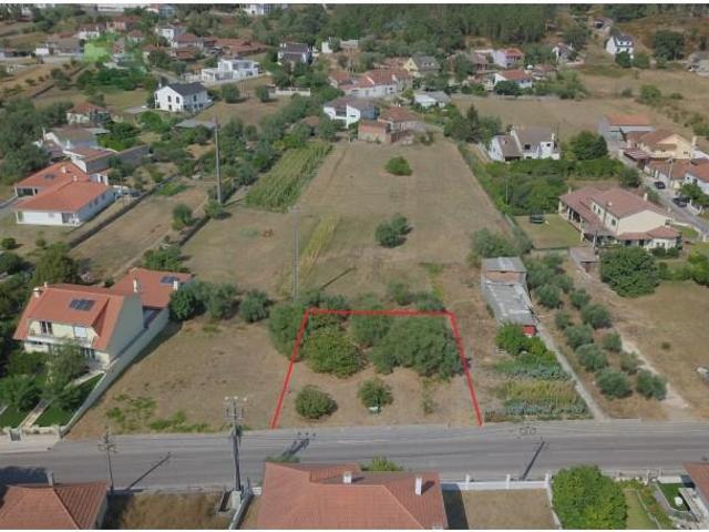 Leiria Leiria 96086113