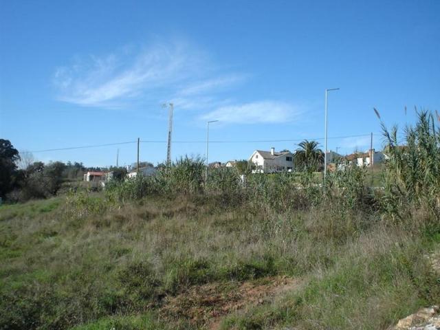 Leiria Leiria 96292709