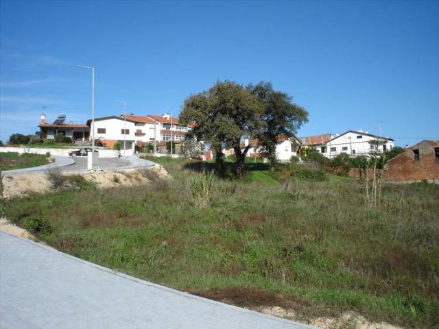Leiria Leiria 96292733