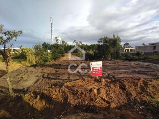 Leiria Leiria 96303871