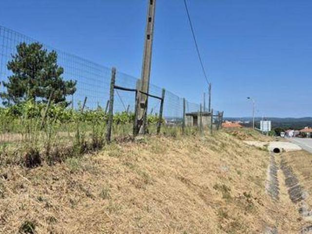 Leiria Leiria 96891244