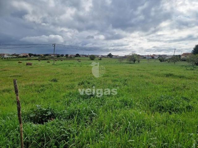 Leiria Leiria 97120000