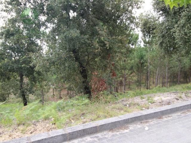 Leiria Leiria 97122692