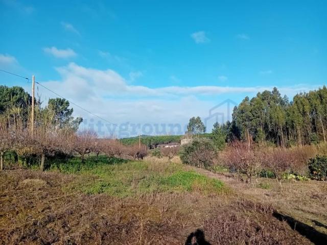 Leiria Leiria 97938748