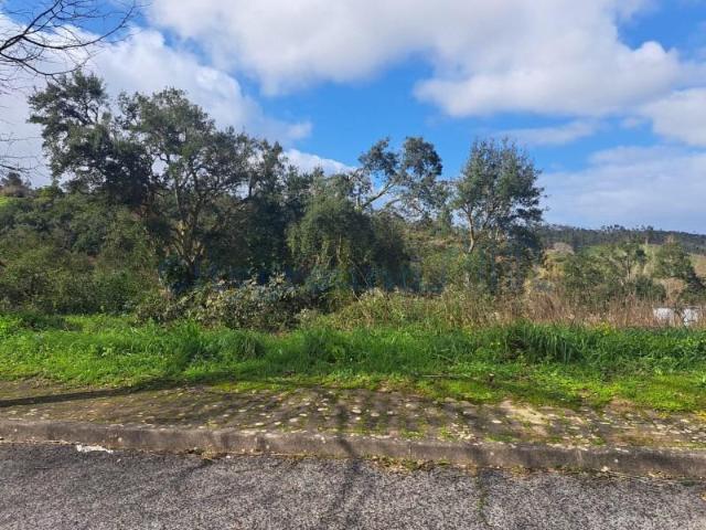Leiria Leiria 99193061