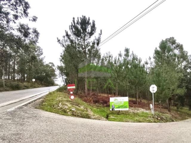 Leiria Leiria 99297353