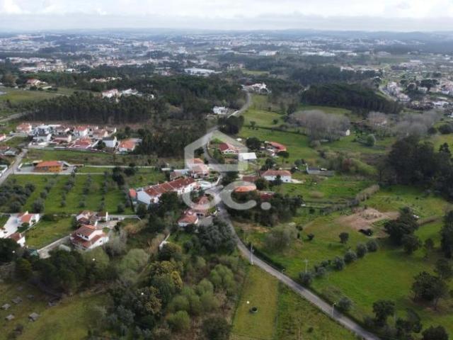 Leiria Leiria 90244284