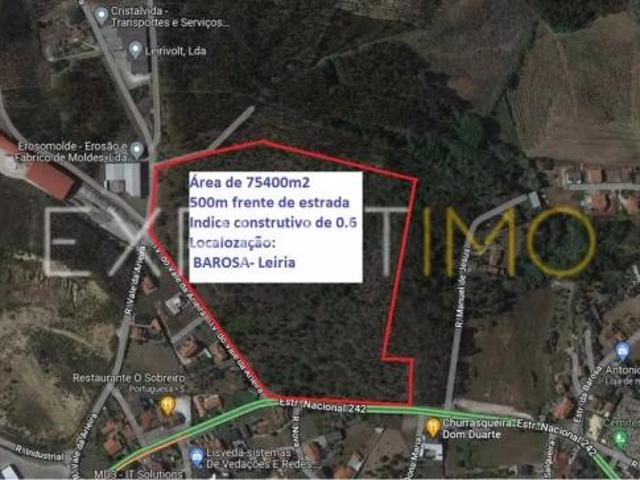 Leiria Leiria 91598512