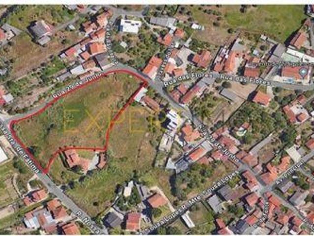 Leiria Leiria 92999202