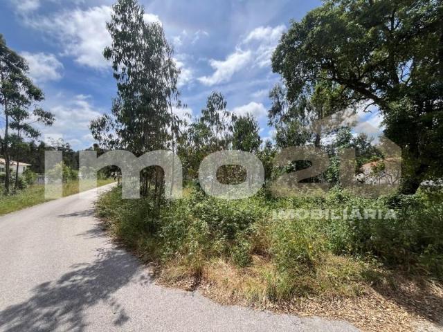 Leiria Leiria 93056599