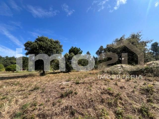 Leiria Leiria 93056601