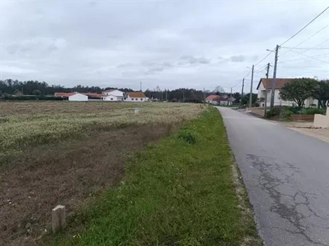 Leiria Pombal 103527928