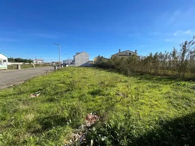 Leiria Peniche 103540684