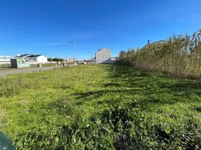 Leiria Peniche 103540688