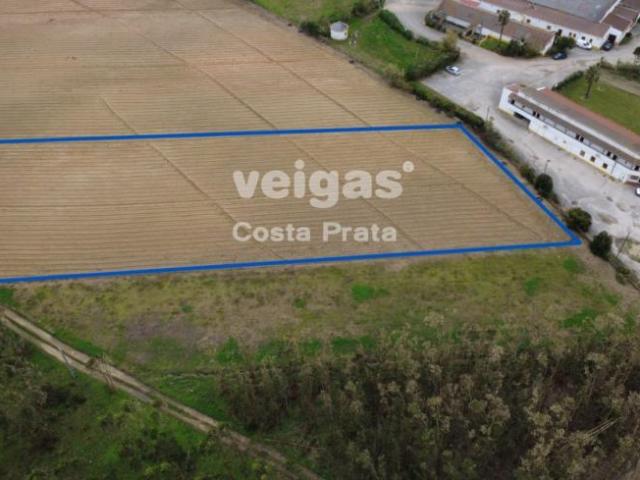 Leiria Peniche 2525 LS99506743