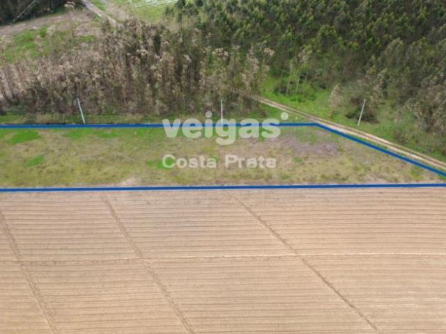 Leiria Peniche 2525 LS99223834