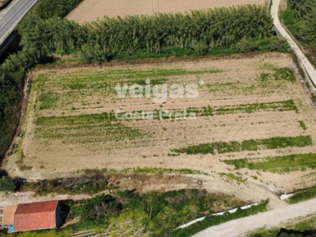Leiria Peniche 2525 102394873
