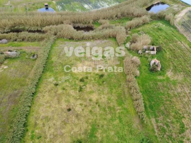 Leiria Peniche 2520 100085685