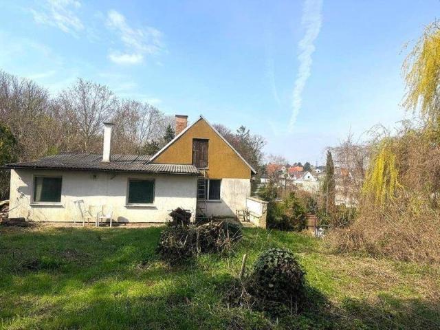 Traumhaftes Baugrundstück mit geräumigen Haus und Gewölbekeller!