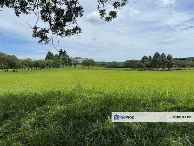 Leisure Farm