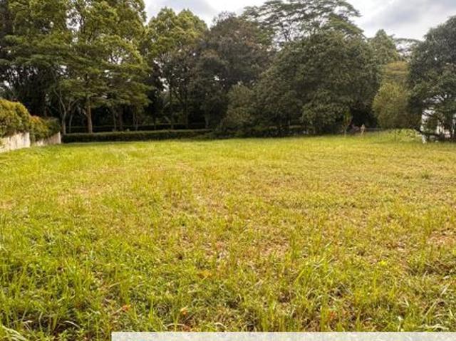 Leisure Farm