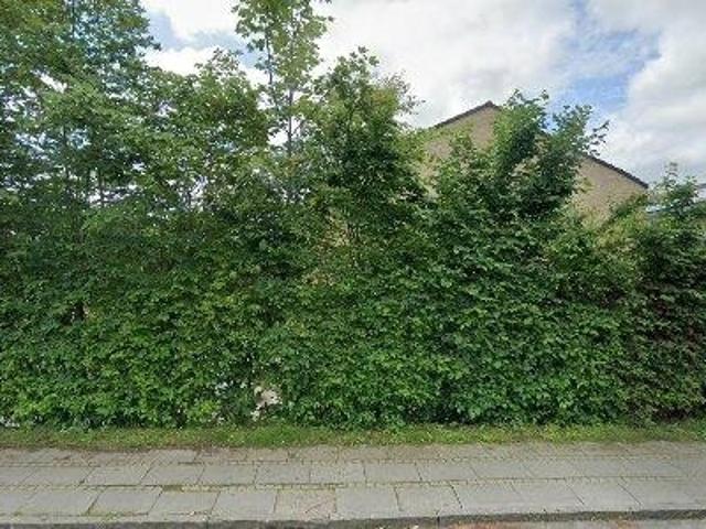 Lejlighed til leje i 6000 Kolding