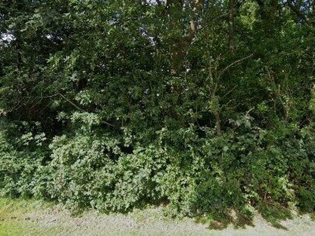 Lejlighed til leje i 6240 Løgumkloster