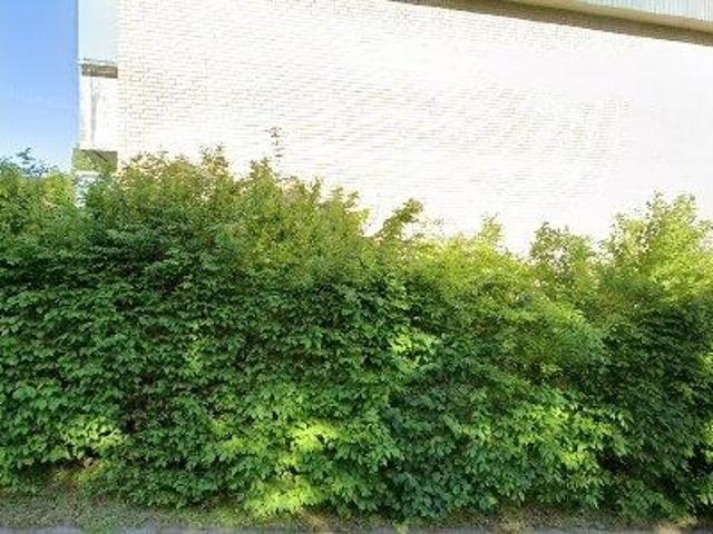 Lejlighed til leje i 9000 Aalborg