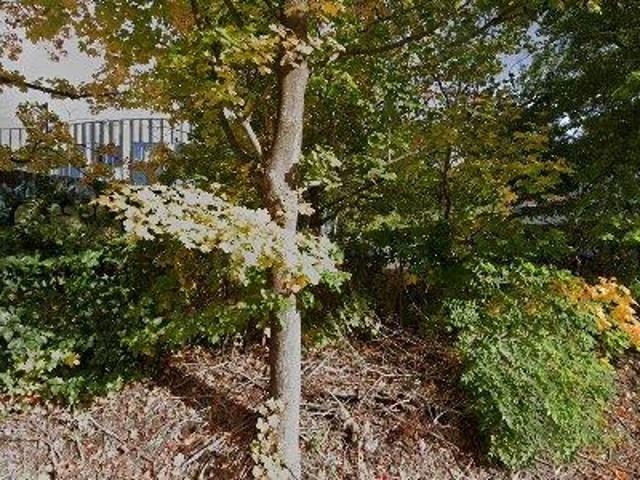 Lejlighed til leje i 2800 Kongens Lyngby