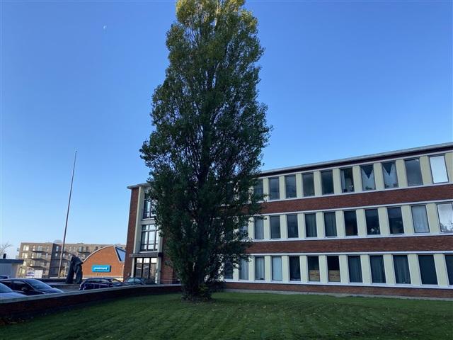 Lejlighed til 8.950 kr Søborg, København