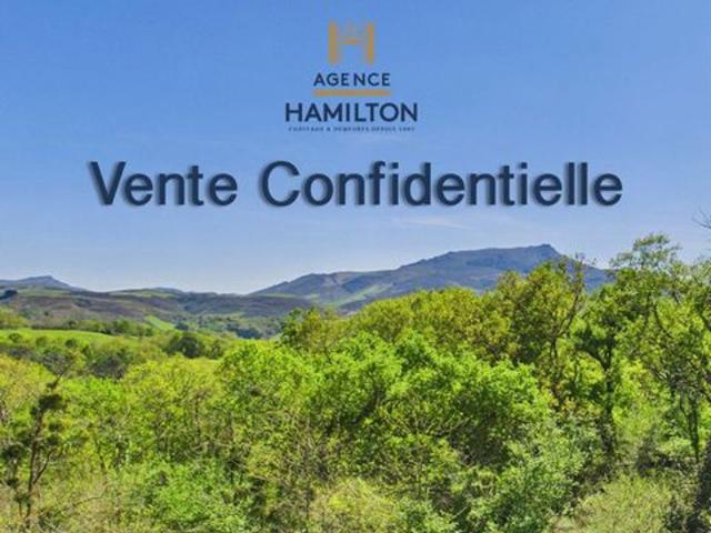L'élégance d'un lieu conçu pour vivre et accueilli