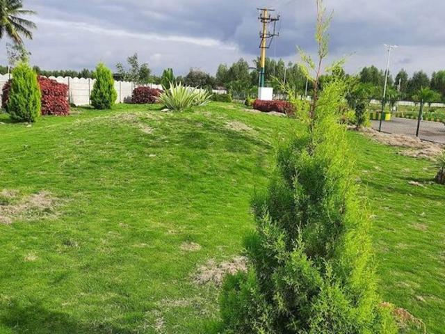 Lepakshi Reals Estate Smy 1200 Sq. Yd. Plot in Jigani Bangalore Listing ID: #10083