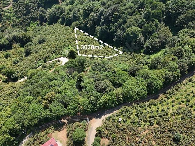 LEROX UÇAR'DAN TERME KOCAMANBAŞI'NDA SATILIK TARLA