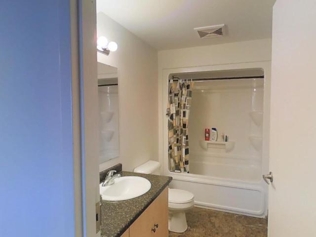 Lester Lofts 5 Bedroom Apartment for Rent at 321 Lester St, Waterloo, ON N2L 3W6 Downtown Waterloo