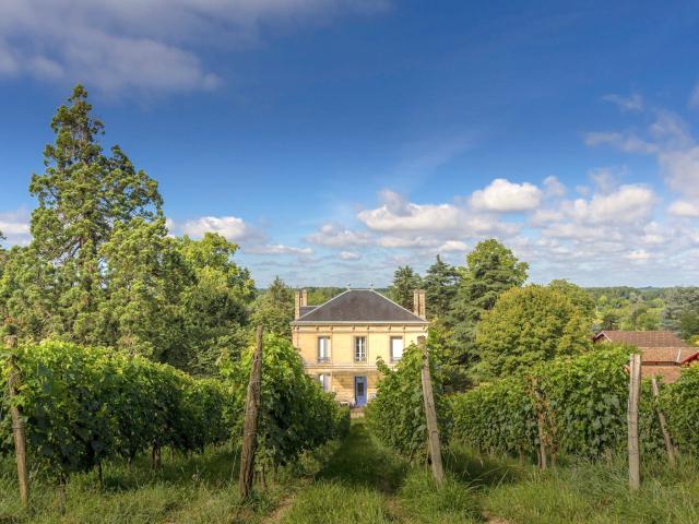 Lestiac sur Garonne Vente Propriété/château 33
