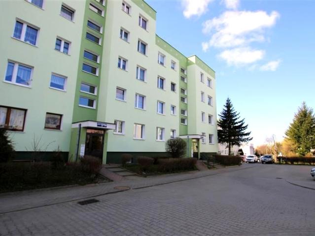Leszczyńskiego 48 m², Elbląg