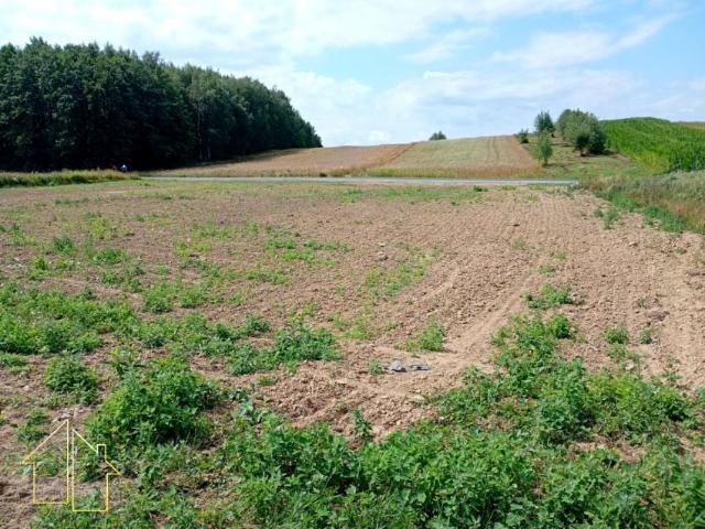 Leszczynowa 2 240 m², Rzeszów
