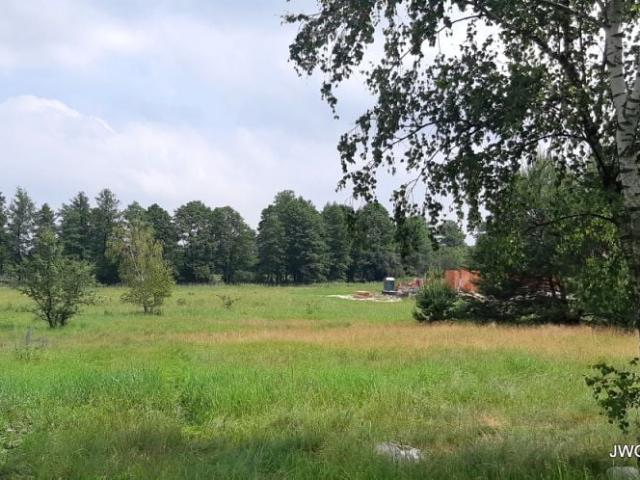 Leszczynowa 2 414 m², Czarne Błoto