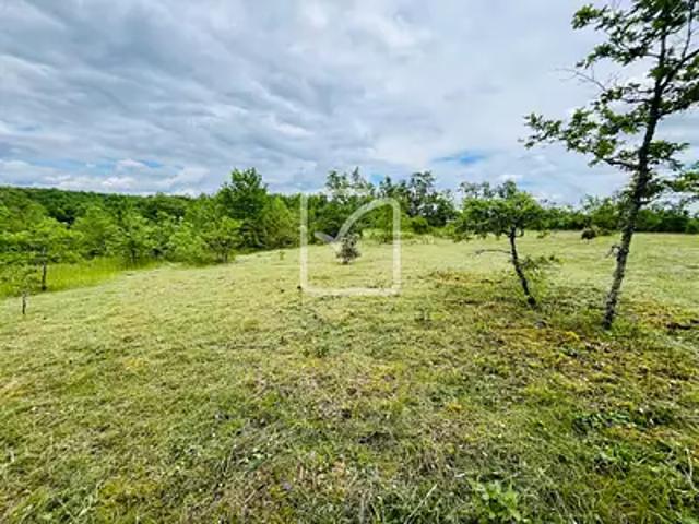 Les Coteaux Périgourdins 24120 Achat / Vente terrain
