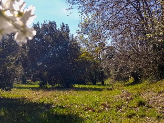 Les Cluses Vente Terrain 66