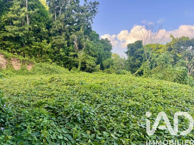 Les Abymes Vente Terrain 97