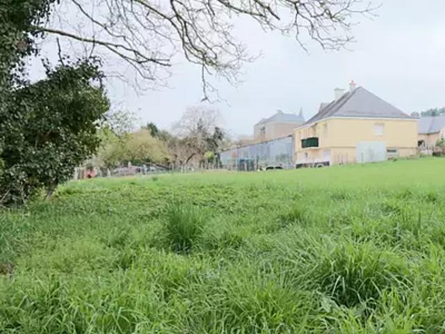 Les Bois d'Anjou 49250 Programme neuf terrain neuf à vendre