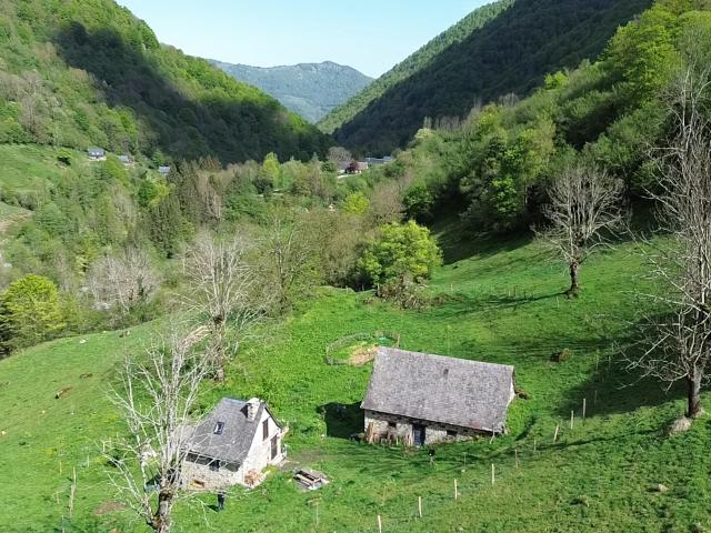 Les Bordes sur Lez Vente Maison 09