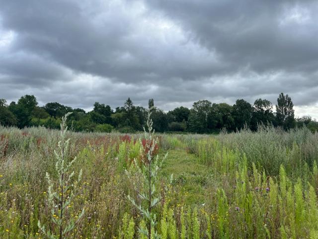 Les Damps Vente Terrain 27